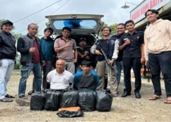 Hendak Bawa 15 Kg Ganja ke Payakumbuh, 2 Terduga Pengedar Ditangkap
