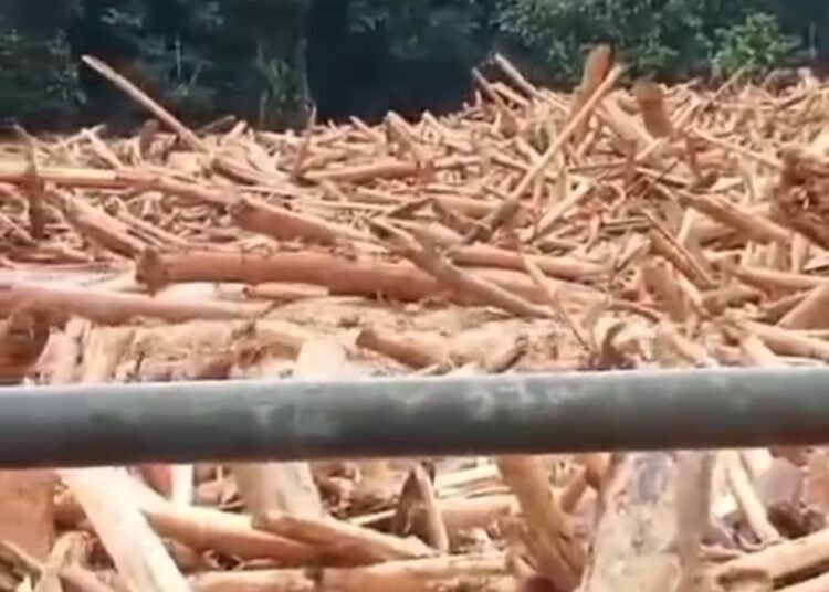 Penampakan tumpukan kayu di sungai Batang Mongan Jorong Mongan, Nagari Galugua, Kecamatan Kapur IX, Lima Puluh Kota. Foto: Tangkapan layar