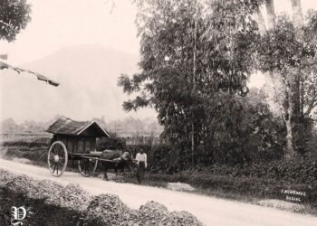 Inilah 3 Kendaraan Tradisional Ikonik Sumbar, Banyak Simpan Cerita dan Sejarah Menarik