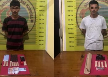 14 Paket Ganja Disita dari 2 Terduga Pengedar di Pesisir Selatan