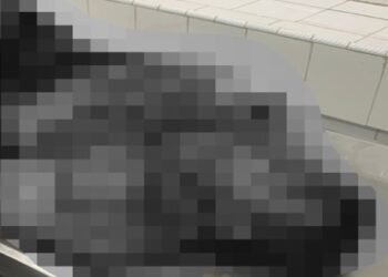 Pengendara Motor di Padang Tewas di Tempat Usai Tabrak Truk Lagi Parkir