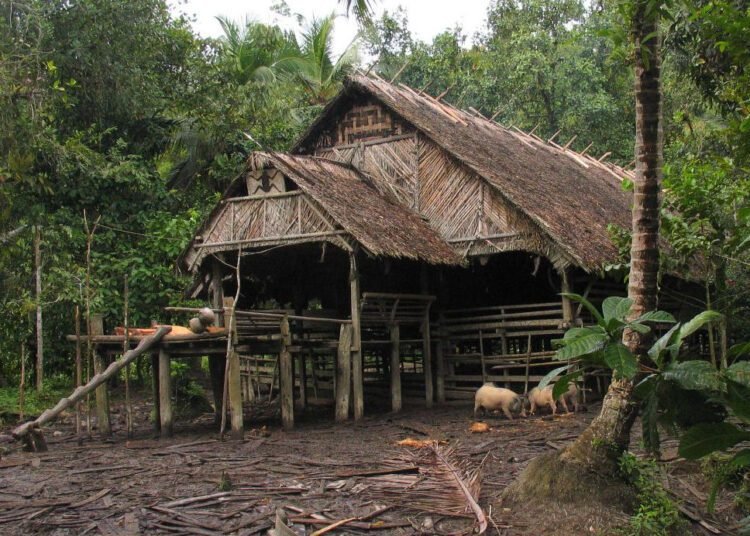 Rumah tradisional Suku Mentawai di Kepulauan Mentawai, Sumatera Barat (foto: Wikipedia)