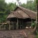 Mengenal Lebih Dekat Uma, Rumah Tradisional Suku Mentawai di Sumbar