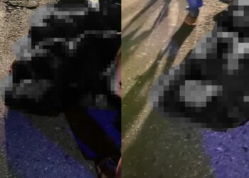 Pengendara Motor Tabrak Truk Parkir di Padang Kembali Terjadi