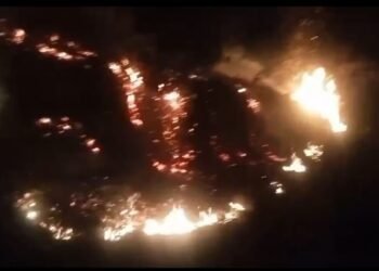 Bukit Pulakek Pesisir Selatan Terbakar, Lahan 10 Hektare Habis