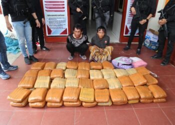 Polisi Ringkus 2 Terduga Kurir dan Sita 74 Kg Ganja di Pasaman Barat