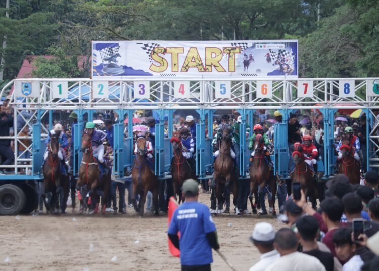 Pacu Kuda Piala Wali Kota Payakumbuh 2025 yang berlangsung di Galanggang Pacu Kubu Gadang, Minggu (23/2) berjalan dengan sukses. Foto: Pemko Payakumbuh