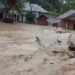 Video: Banjir Terjang Rumah Warga di Pasaman Usai Diguyur Hujan Deras