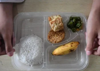 Respons Puan soal Banyak Mitra Mundur dari Program Makan Bergizi Gratis