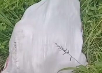 Fakta Baru Kasus Siswi MTs yang Tewas dalam Karung di Tanah Datar