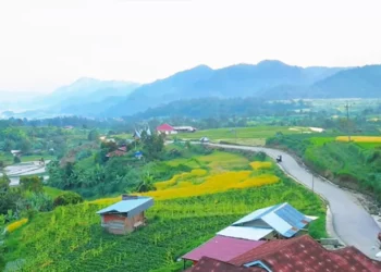 Alokasi Dana Desa di Sumbar 2025 Capai Rp1,05 Triliun, Bakal Didistribusikan di 1.035 Nagari