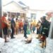 Anjing Liar Mati Tersengat Listrik Usai Masuk Rumah Warga dan Gigit Bocah di Padang