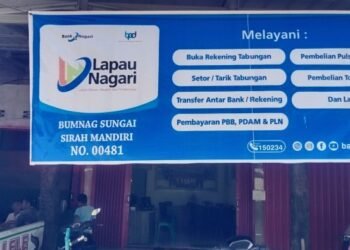 Pemkab Pesisir Selatan Akan Revitalisasi Bumnag yang Mati Suri
