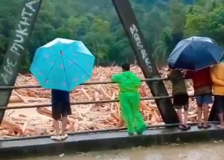 Gelondongan kayu berukuran besar menumpuk di sungai di dekat jembatan di Kapur IX, Lima Puluh Kota, Kamis (27/2). Foto: IST