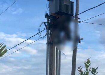 Video: Pria Tersengat Trafo Listrik di Padang Pariaman