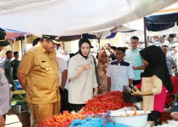 Jelang Lebaran, Harga Kebutuhan Pokok di Kota Pariaman Relatif Stabil