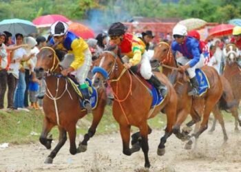 Ajang Pacu Kuda Siap Digelar di Padang Pariaman, Pemkab Targetkan 20 Ribu Penonton