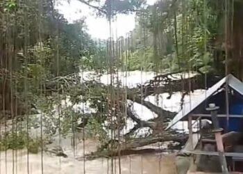 Masuk Jembatan Akar di Pesisir Selatan Akan Dibatasi pada Lebaran Nanti