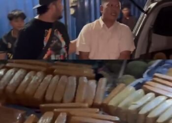 Polisi Tangkap Kurir Bawa Ganja 100 Kg Lebih di Pasaman