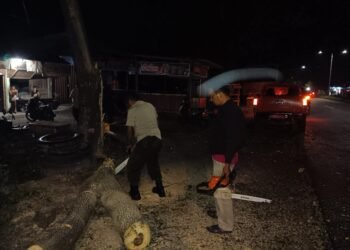 Kronologi Suami Istri Tertimpa Pohon Tumbang di Padang