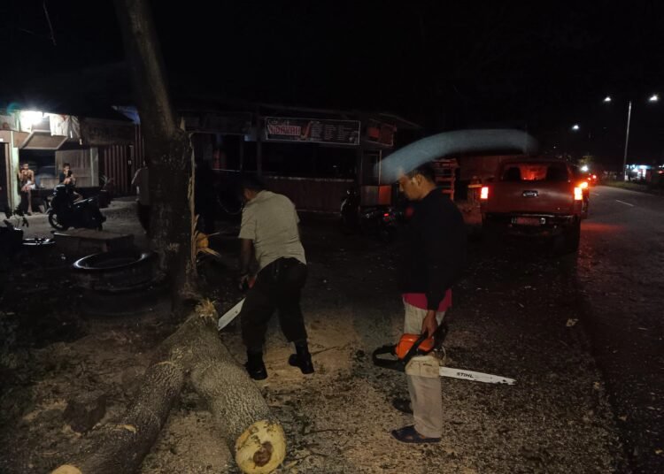 Pohon tumbagn di Kota Padang pada Selasa (4/3) malam.