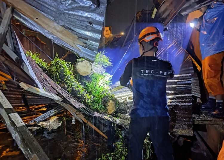 Pohon tumbang menimpa rumah warga di Padang pada Kamis (27/3) malam. Foto: BPBD Padang
