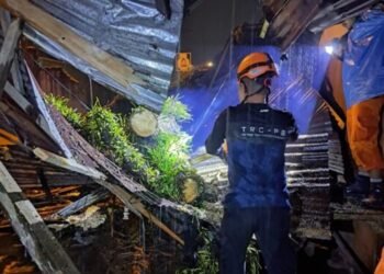 18 Rumah di Padang Rusak Akibat Angin Puting Beliung, 5 Rumah Ditimpa Pohon