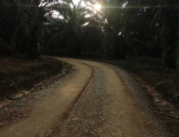 Jalan PT AWB yang diduga menggunakan material galian C yang diambil dari kawasan HGU. Foto: Guspira/Kabarminang.com