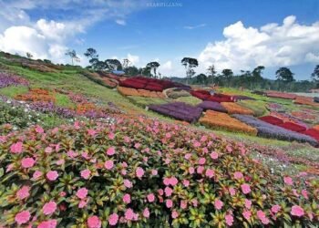 Inilah Rekomendasi Wisata di Kabupaten Pasaman untuk Libur Lebaran 2025 Bersama Keluarga