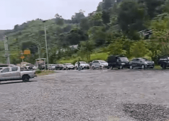 Pohon Tumbang Sebabkan Macet Panjang di Jalan Padang-Alahan Panjang