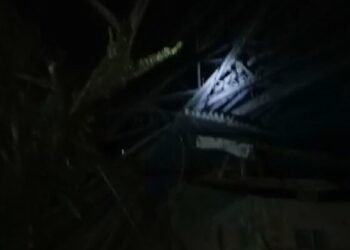 Sebuah Musala di Padang Ditimpa Pohon Tumbang