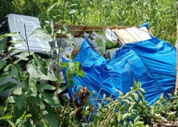 Mobil Buah Kecelakaan Tunggal di Pesisir Selatan, Sopir Dirujuk ke Painan