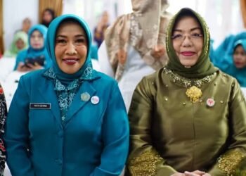Ibu Bupati Jadi Ketua Dekranasda Dharmasraya, Yosta Defina Jabat Ketua TP PKK