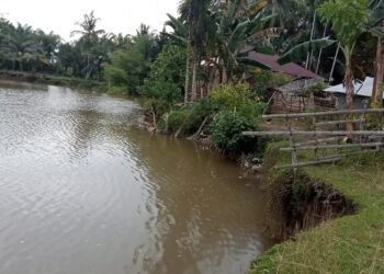 Rumah Nyaris Terban, Warga Pesisir Selatan Sulit Tidur Saat Hujan Deras