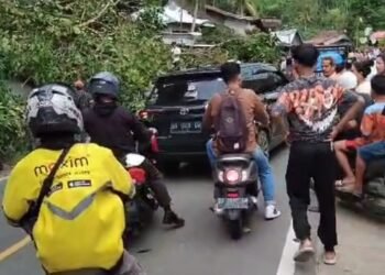 Pohon Tumbang di Gaung, Padang, Akibatkan Kemacetan 1 Km
