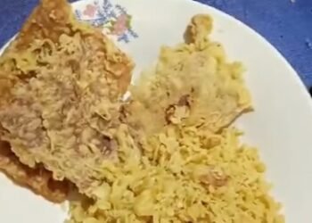 Balitanya Diberi Tempe Goreng oleh Posyandu, Seorang Ibu di Pesisir Selatan Mengeluh