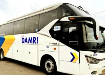 Damri Solok Selatan Kembali Beroperasi, Cek Jadwal dan Tarifnya!