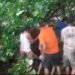 Sedang Berteduh, Dua Warga Padang Tertimpa Pohon Tumbang