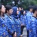 Usai Diprotes, Pemerintah Majukan Pengangkatan CPNS