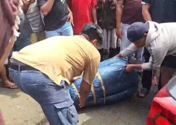 Mobil Pembawa Dua Karung Ganja Ditangkap di Pasaman Barat