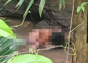 Mayat Guru Wanita Asal Batusangkar Ditemukan di Sungai Padang Pariaman