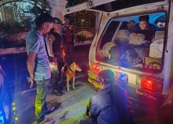 Polisi Perketat Bandara dan Perbatasan Sumbar Pakai Anjing Pelacak