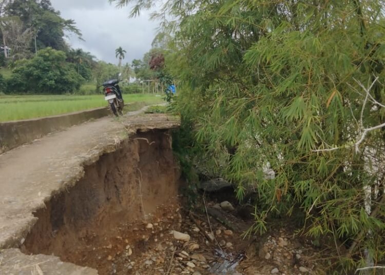 Kondisi Jalan di Nagari Lubuk Karak Kecamatan IX Koto Dharmasraya pasca Banjir Sabtu (1/3/2025)