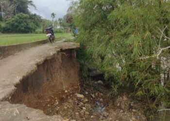 Hujan Deras, Jalan di Nagari Lubuk Karak Dharmasraya Amblas Terbawa Arus Sungai