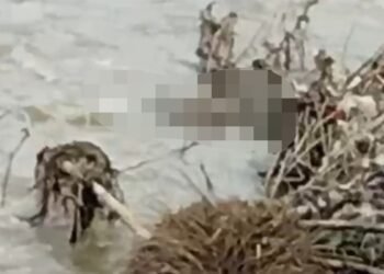 Geger! Penemuan Mayat di Batang Sinamar Kabupaten Lima Puluh Kota