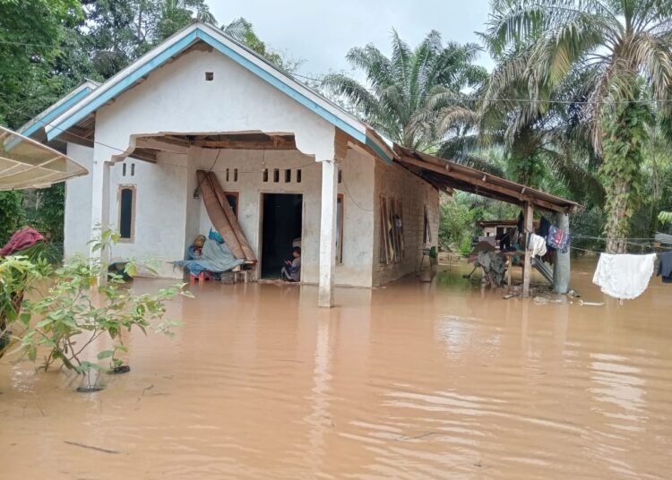 Banjir di Nagari Sinamar Kecamatan Asam Jujuhan Kabupaten Dharmasraya, Sabtu (1/3).