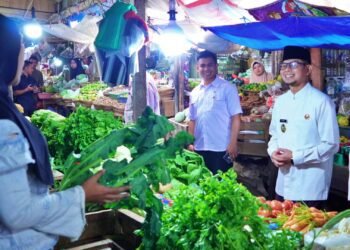 Wakil Wali Kota Bukittinggi Bersama TPID Tinjau Harga Pasar Jelang Idulfitri 1446 H