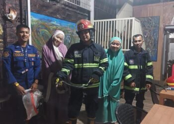 Ngeri, Ular Kobra Muncul di Kloset Kos Perempuan di Padang, Damkar Evakuasi