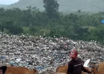 647 Ton Sampah Menumpuk di Padang Setiap Hari, Ini Solusinya