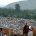 647 Ton Sampah Menumpuk di Padang Setiap Hari, Ini Solusinya